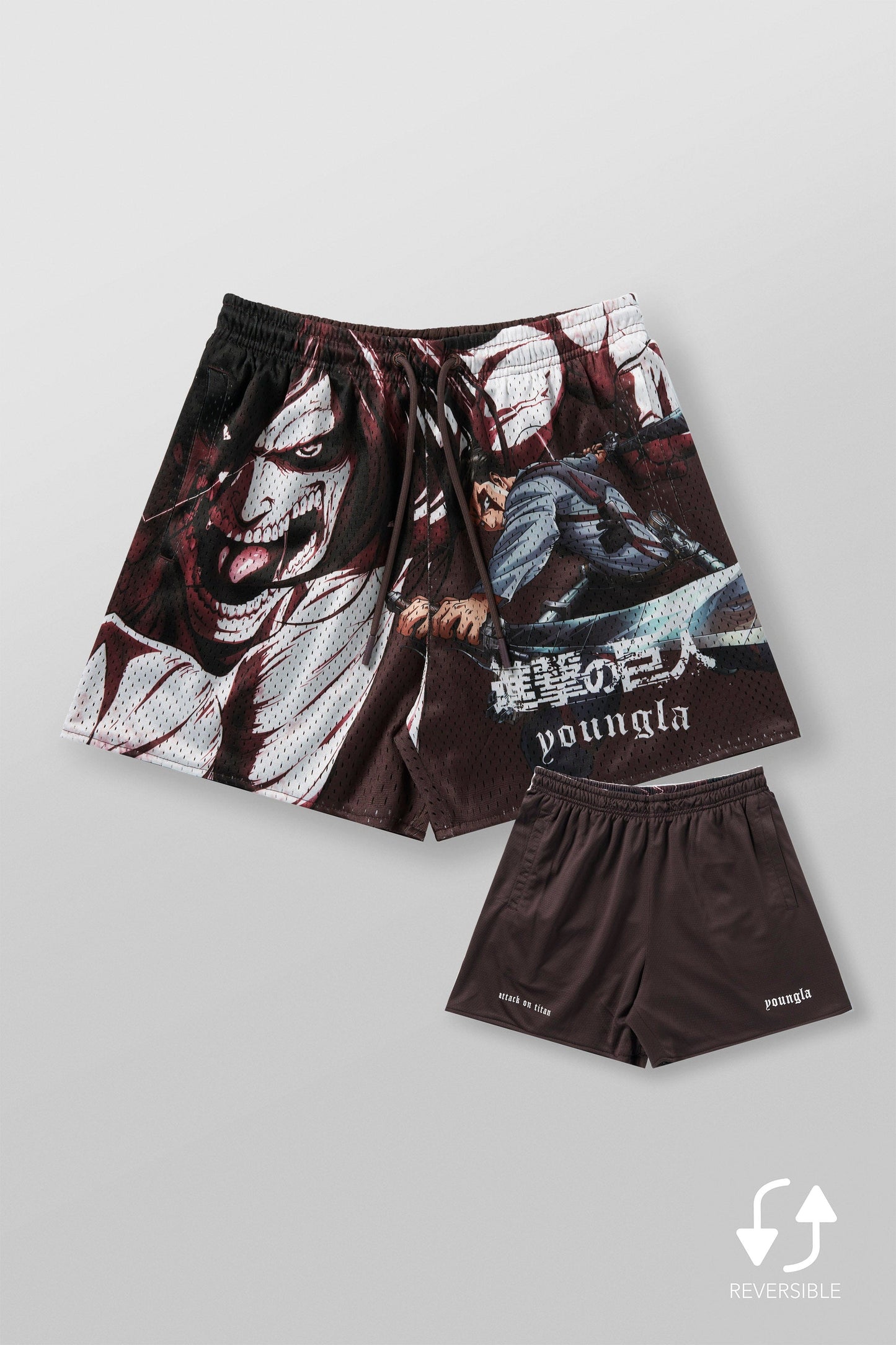 1126 - AOT? x YLA Mesh Shorts